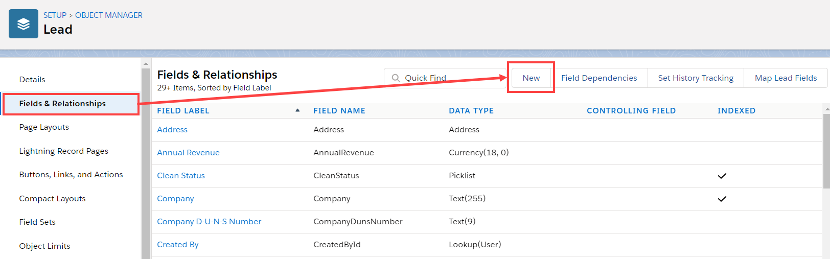 Lead - Salesforce Update Field